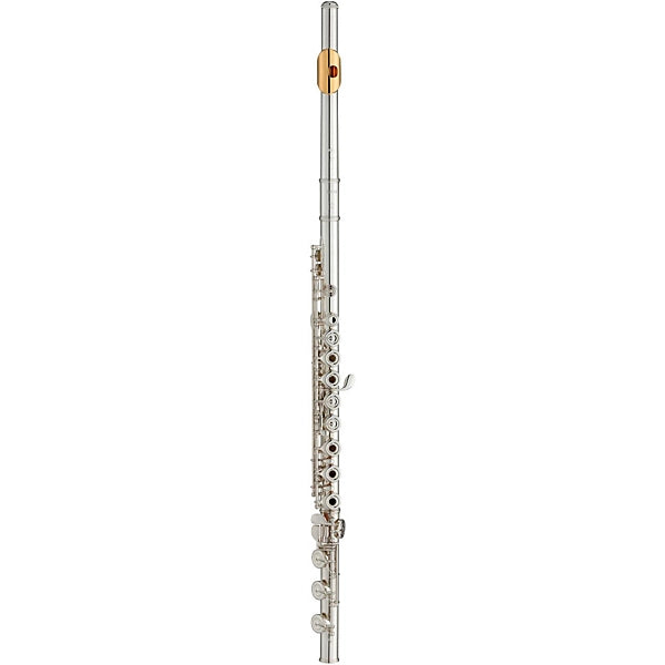 Yamaha YFL-382H Intermediate Flute Inline G B-Foot, Gold Lip-Plate
