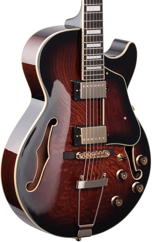 Ibanez Artcore Expressionist AG95QA Hollowbody Electric Guitar