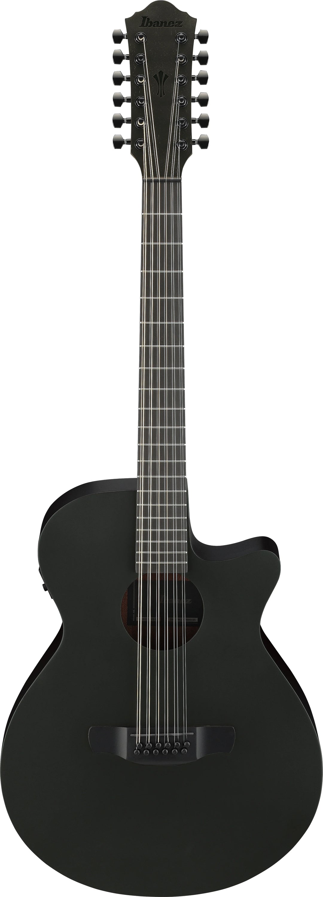 Ibanez AEG1221BOT AEG 12-String Acoustic-Electric Guitar Black Out - Pecknel Music