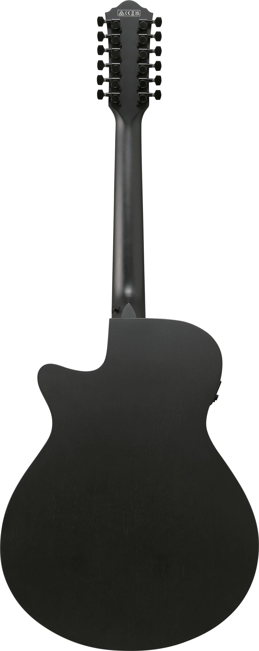 Ibanez AEG1221BOT AEG 12-String Acoustic-Electric Guitar Black Out - Pecknel Music