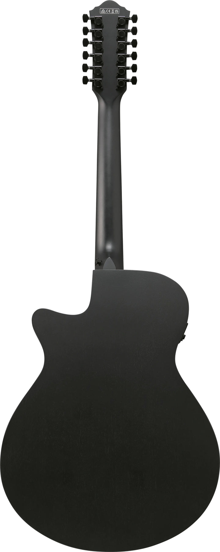 Ibanez AEG1221BOT AEG 12-String Acoustic-Electric Guitar Black Out - Pecknel Music