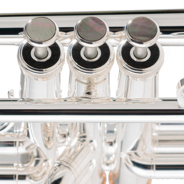 Yamaha YTR-8335IIRSKG Limited Edition Kangakki Xeno Trumpet - Pecknel Music