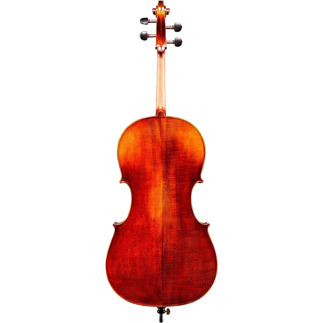 Eastman Andreas Eastman VC305 Series+ Cello Outfit With Case and Bow 4/4