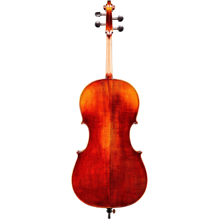 Eastman Andreas Eastman VC305 Series+ Cello Outfit With Case and Bow 4/4
