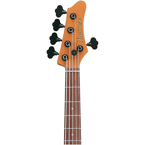 Ibanez MDM1005MAM Mode 5-String Electric Bass Guitar with Gig Bag