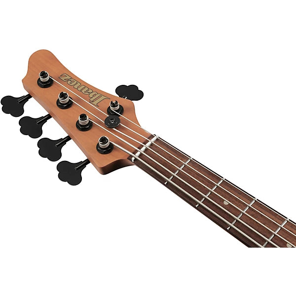 Ibanez MDM1005MAM Mode 5-String Electric Bass Guitar with Gig Bag