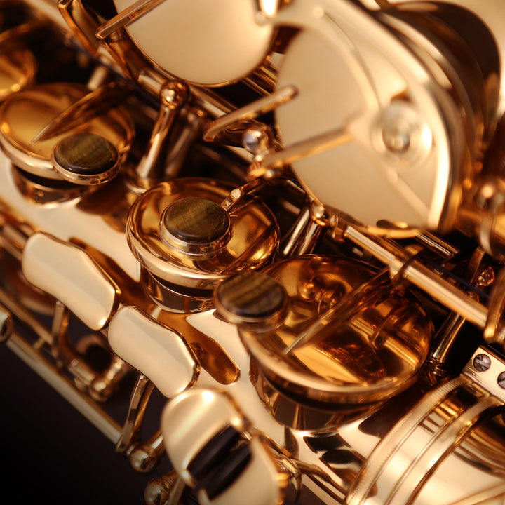 Cannonball Tenor Sax T5L Big Bell Stone Series, Lacquer Cannonball