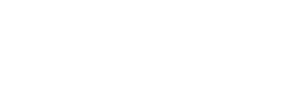 Martin Guitar