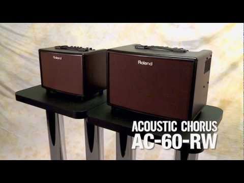 Roland AC‑33 Acoustic Chorus Guitar Amplifier